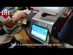 Automatische kodemachine met zes spuitpunten voor het printen van eierspray